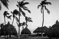 Tropischer Strand in Schwarz und Weiß