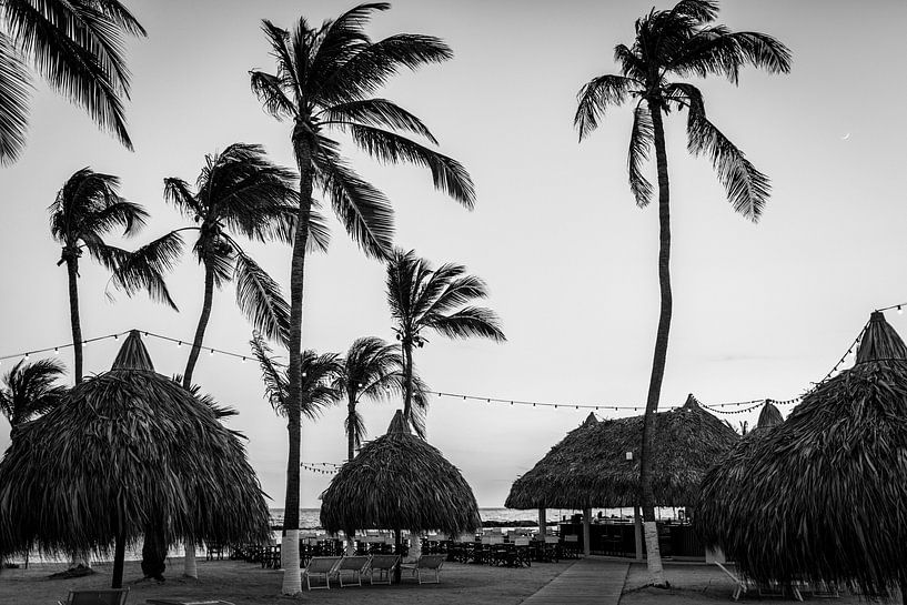 Tropischer Strand in Schwarz und Weiß von Kiki Multem