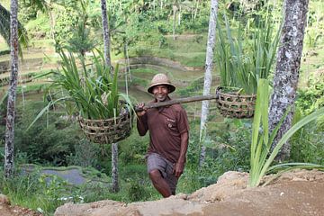 Indonesië: Javaanse arbeider van Raoul van de Weg