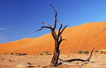 Dead Vlei Namibia van W. Woyke