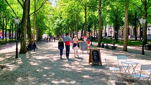 Walking on Lange Voorhout The Hague