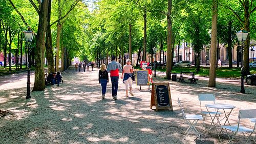 Marcher sur Lange Voorhout La Haye