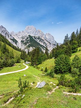 Uitzicht op de Bindalm in het Berchtesgadener Land in Beieren van Rico Ködder