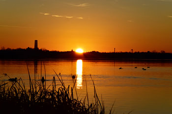 Sonnenuntergang Cospudener See Leipzig