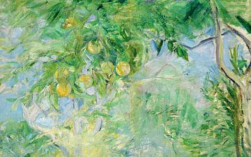 Berthe Morisot,Orangenbaumzweige