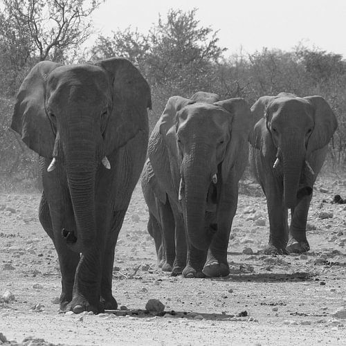 Namibië : The way to go