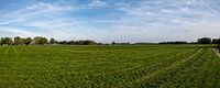Panorama foto van een landbouwlandschap