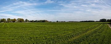 Photo panoramique d'un paysage agricole sur Kristof Leffelaer