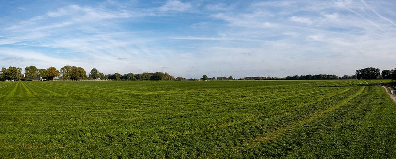 Panoramic photo of an agricultural landscape by Kristof Leffelaer
