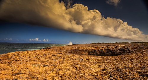 Wata Mula op Curacao