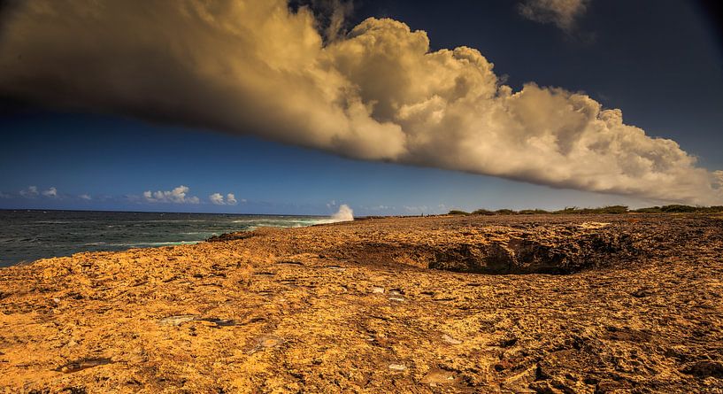 Wata Mula op Curacao by René Holtslag