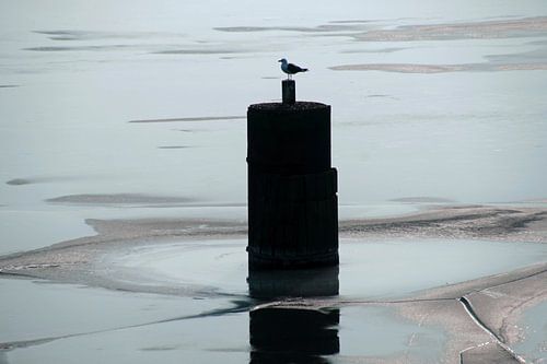 Oiseau solitaire sur pilotis dans un paysage hivernal