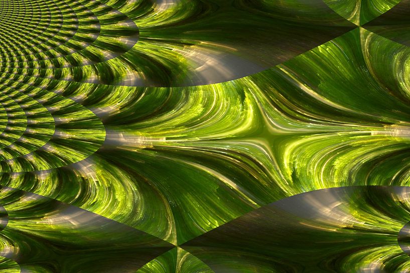 under trees - Fractals III by Steffi Hommel
