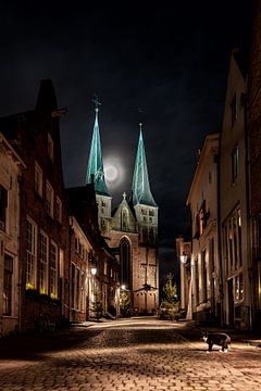 Bergkerk in de avond met maanlicht en zwart witte kat op voorgrond van Bart Telling