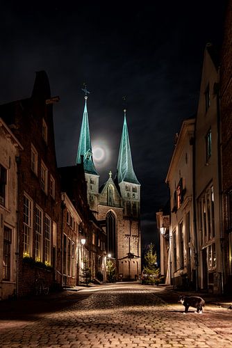 Bergkerk in de avond met maanlicht en zwart witte kat op voorgrond