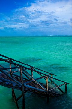 Tropical Zanzibar by Lisette van Leeuwen