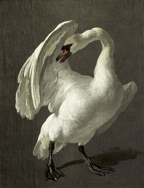 Swan in fighting position, Melchior d’Hondecoeter by Masterful Masters