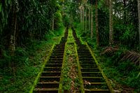 Bali Secret Temple