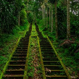 Bali Secret Temple by Rudolfo Dalamicio