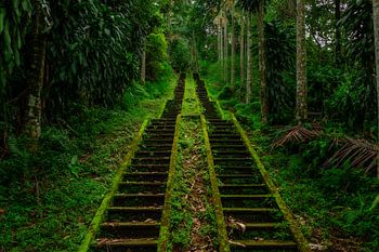 Temple secret de Bali