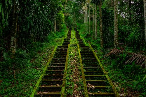 Bali Geheime Tempel van Rudolfo Dalamicio