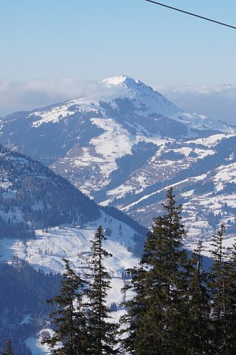 Blick auf die Hohe Salve von Kitzbühel (Tirol, Österreich)