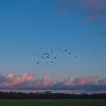 Herfst in Markelo van Patrick Rosenthal