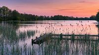 Sunset Sassenhein, Haren, Groningen, Netherlands by Henk Meijer Photography thumbnail