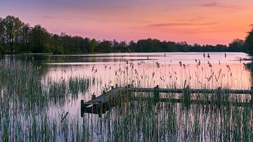 Zonsondergang Sassenhein, Haren, Groningen, Nederland