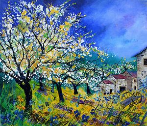 Frühling in meiner Landschaft