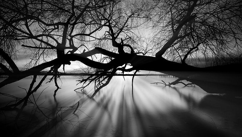 Le lac Starnberg par Einhorn Fotografie