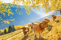 Savoyaardse herfst