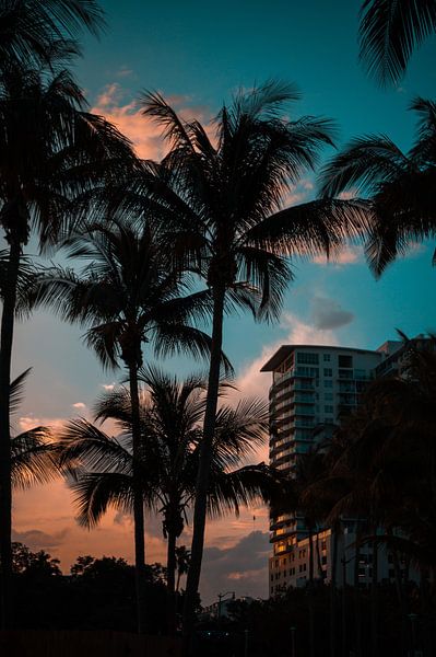 Miami by Hello Pompoyo