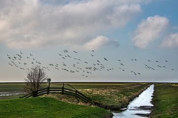 Het Noorderleeg op een stille vroege winterdag by Harrie Muis