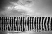 The beach
