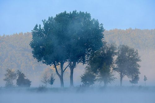 Matin brumeux au lac Kratzmühl dans l'Altmühltal
