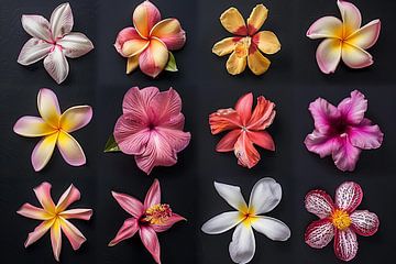 florale Kunst an der Wand von Egon Zitter