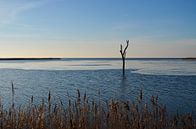 Uitzicht over winters IJsselmeer van Gerrit Harmen thumbnail