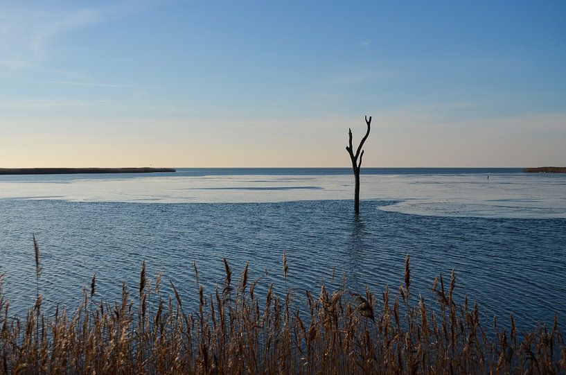 Uitzicht over winters IJsselmeer van Gerrit Harmen