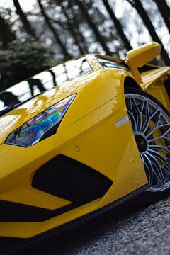 Lamborghini Aventador S van Sep Gelauff