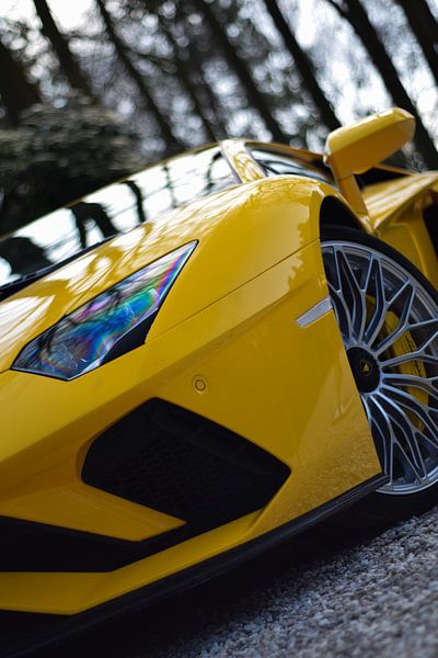 Lamborghini Aventador S by Sep Gelauff