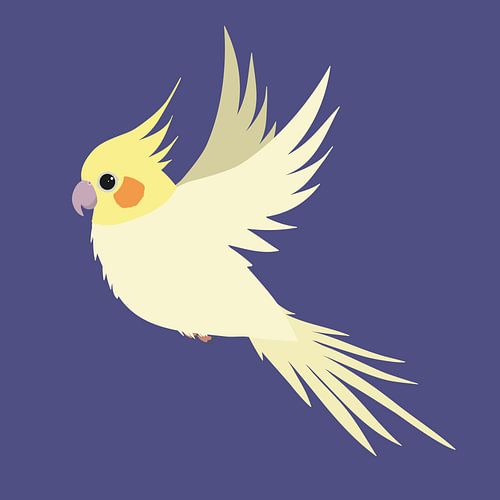 Flying cockatiel