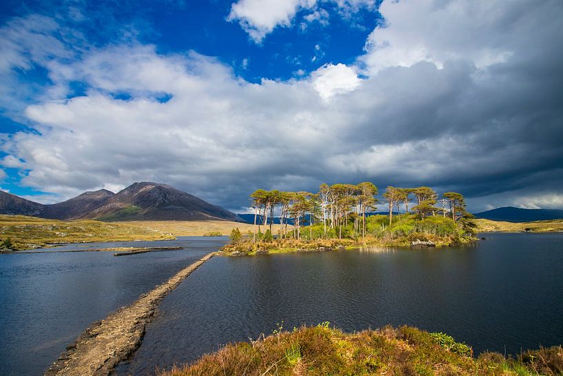 Connemara-Nationalpark von Antwan Janssen