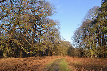 Domaine de Leyduin
