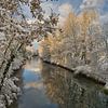 Winterwonderland im Elsass von Tanja Voigt