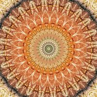 Mandala radiant sun