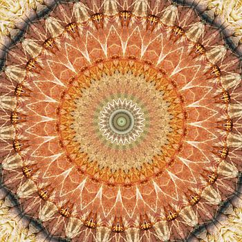 Mandala strahlende Sonne