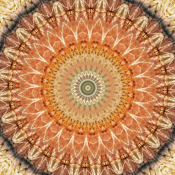 Mandala strahlende Sonne von Christine Bässler
