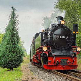 Rasender Roland | Island of Rügen by Panorama-Rundblick