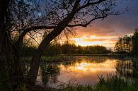 Warme zonsondergang aan een meertje in De Wieden van Wilko Visscher thumbnail
